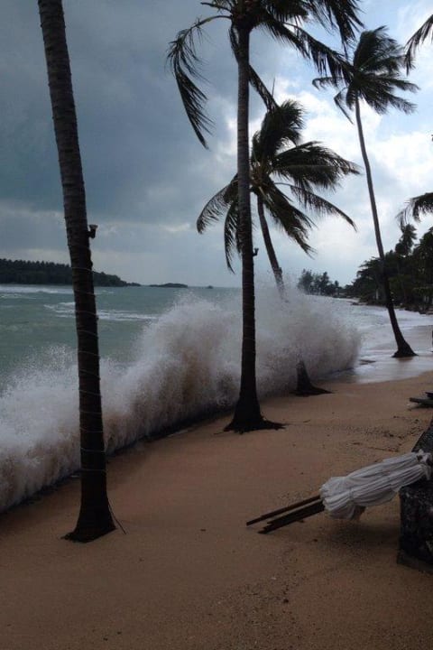 Sturm Nora Beach Resort & Spa