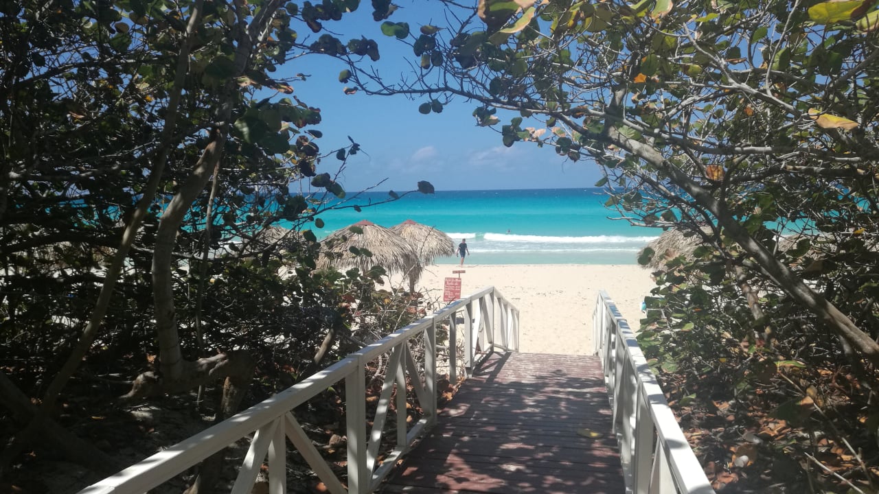 Strand Starfish Cuatro Palmas