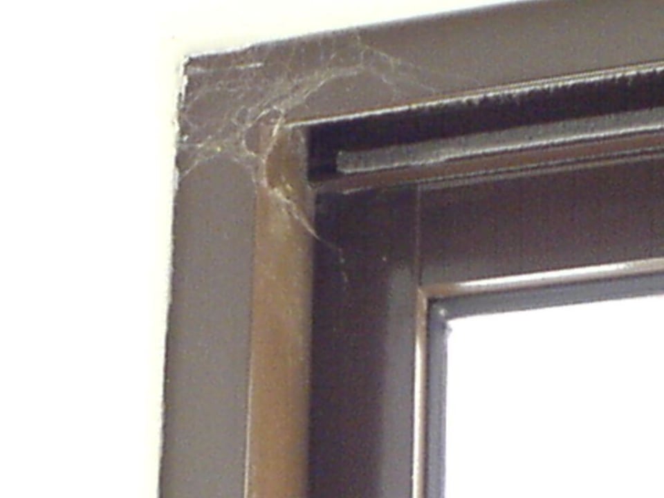 Fensteranblick im Hotel Atlantica Kolymbia Beach