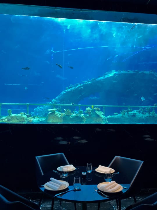 Gastro The Land of Legends Kingdom Hotel