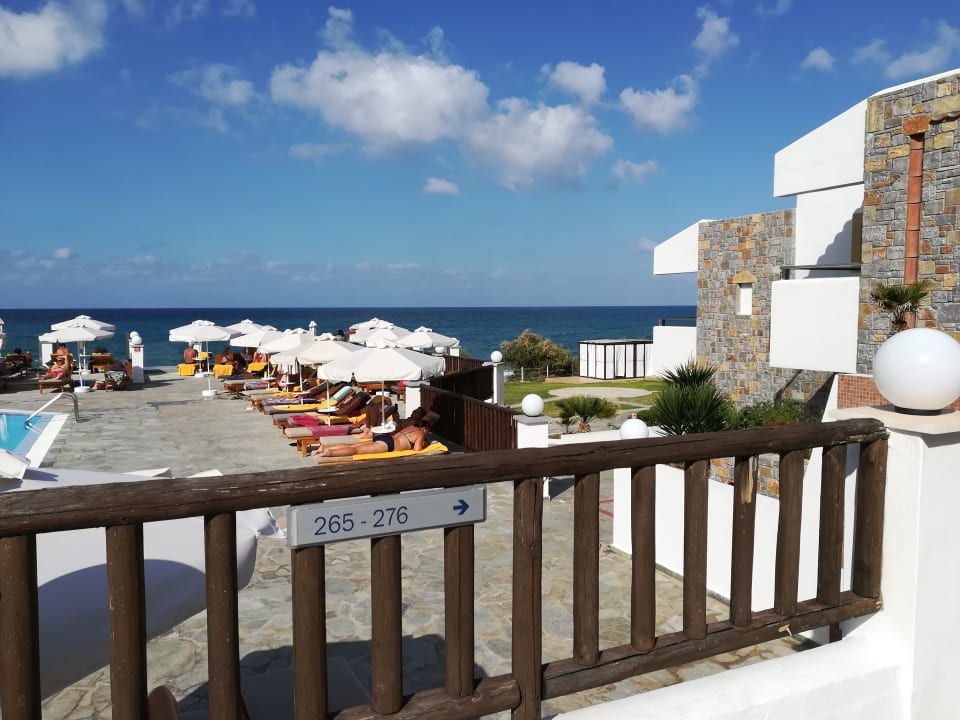 Gartenanlage Alexander Beach Hotel & Village Resort