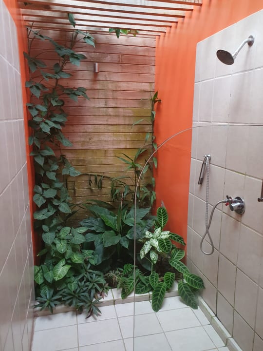 Zimmer La Shamana - Ecological Concept in Jungle