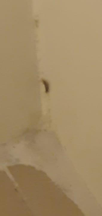 Zimmer Kirman Belazur Resort & Spa