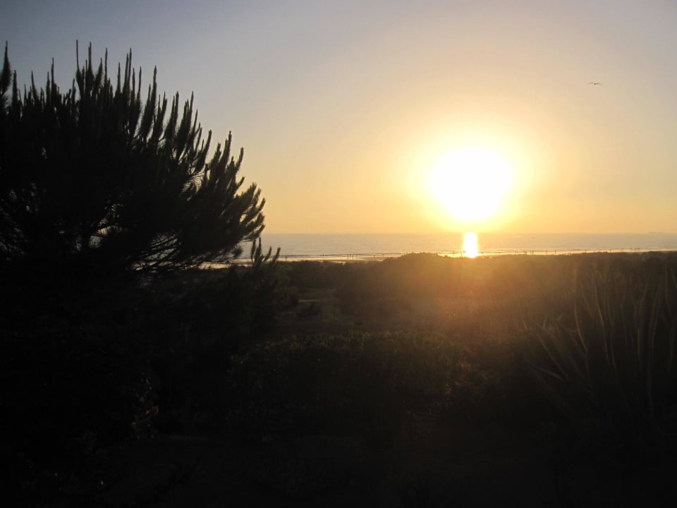 Direkter Ausblick zum Meer Iberostar Waves Royal Andalus
