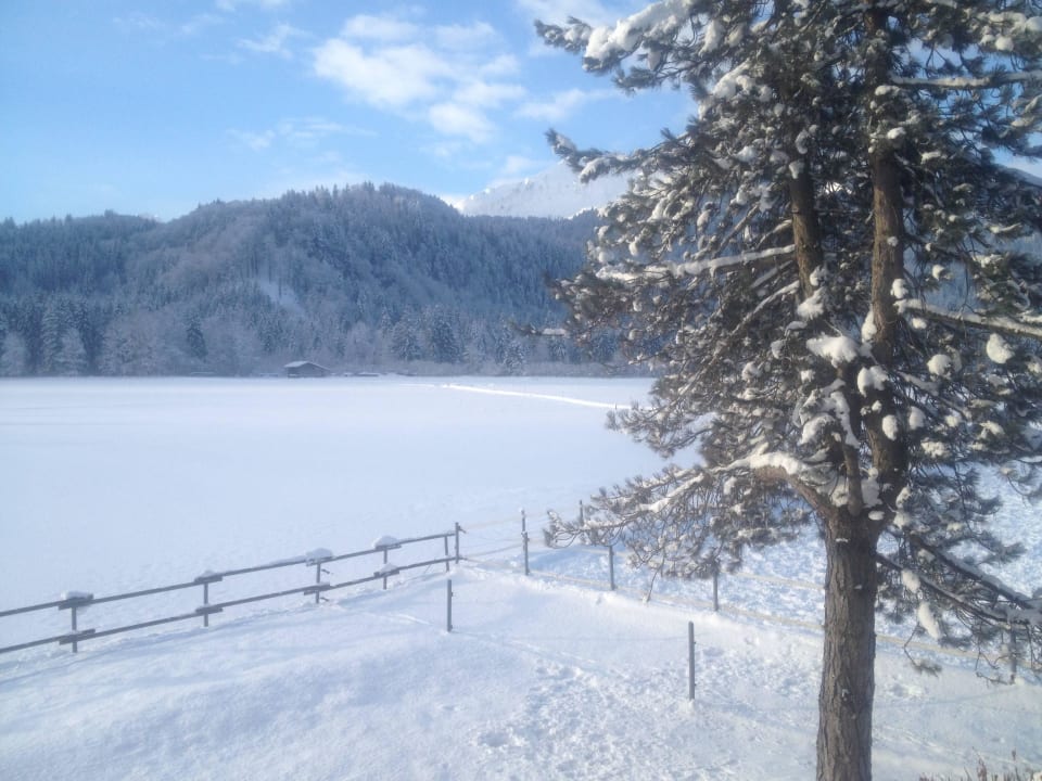 Blick aus Ferienwohnung Der Landhof Oberstdorf