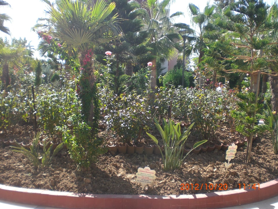 Traumhaft schön Saphir Hotel & Villas