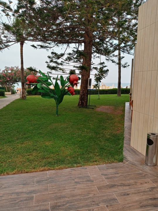 Gartenanlage Nerton Hotel - Erwachsenenhotel ab 16 Jahren