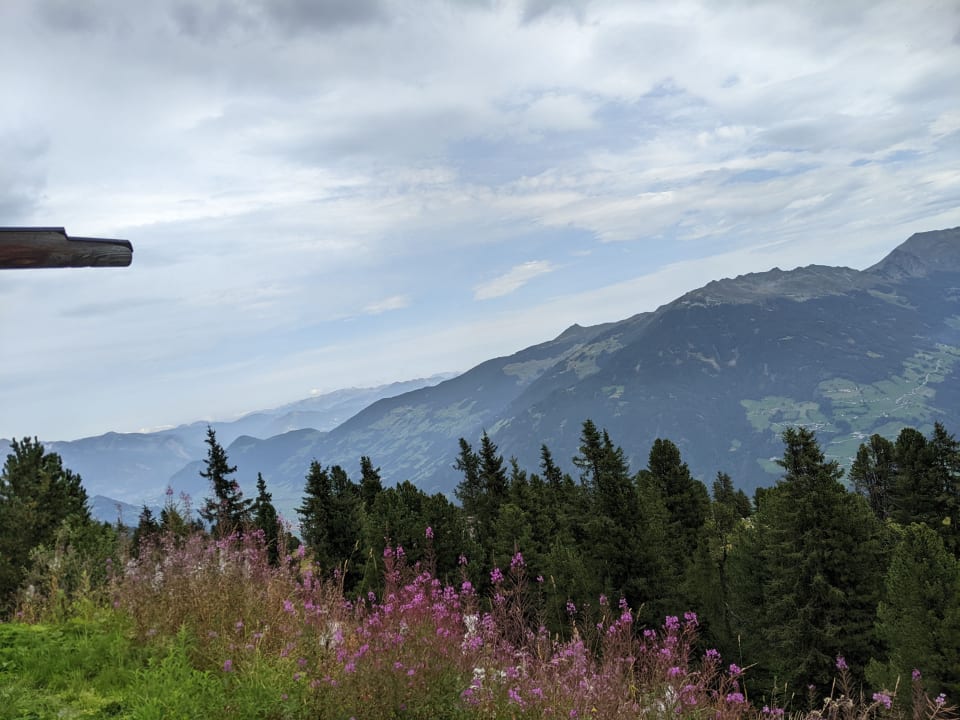 Ausblick Alpin-Ferienwohnungen Hochzillertal