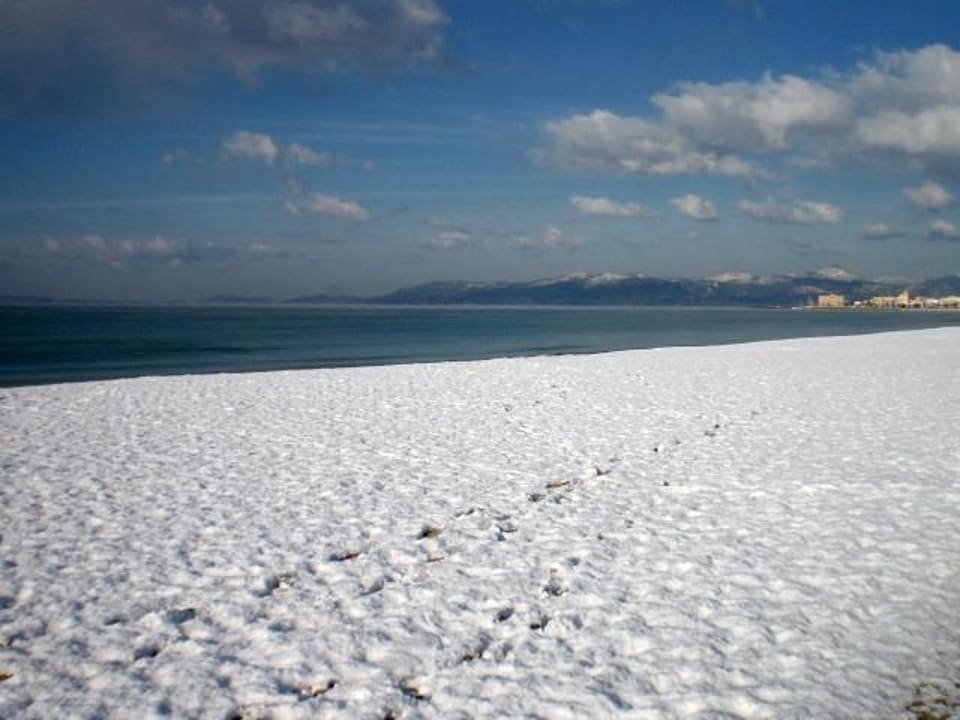 "weisser"  Strand Iberostar Waves Bahia de Palma