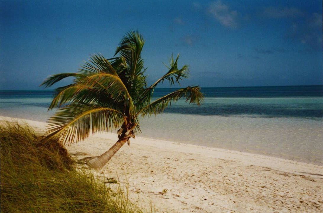 Villa Cojimar Starfish Cayo Guillermo
