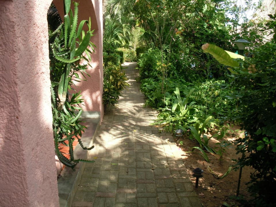 Auf dem Weg zum Frühstück Hotel Coral Caribe