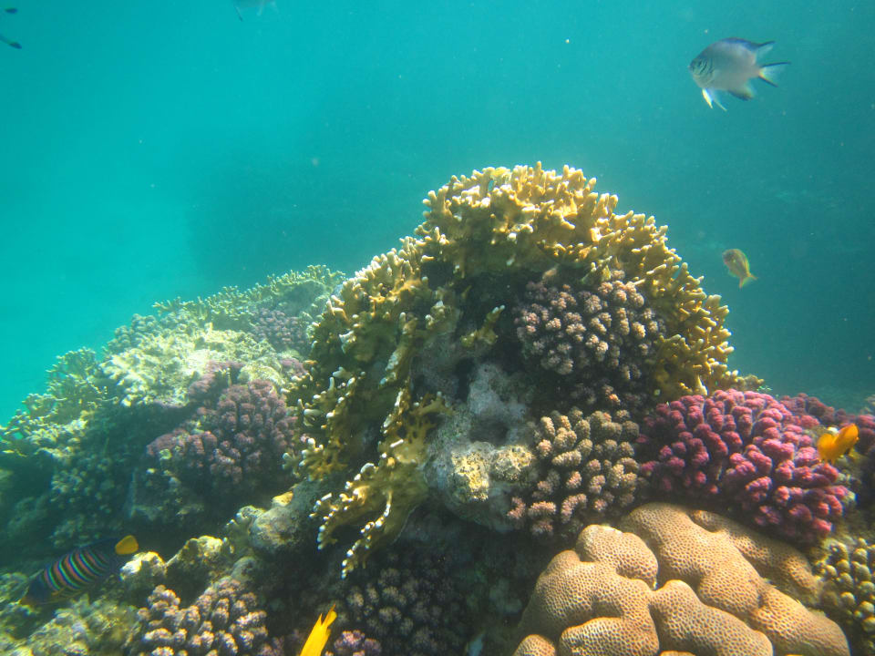 Sport & Freizeit Brayka Bay Resort