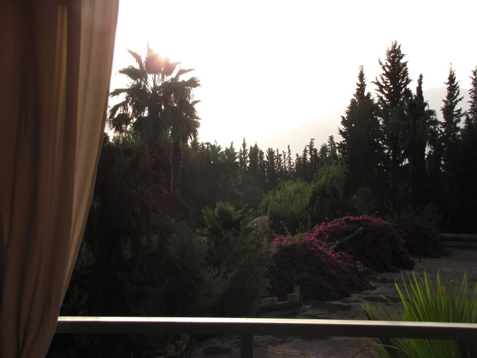 Blick vom Balkon Hotel Le Tazarkount