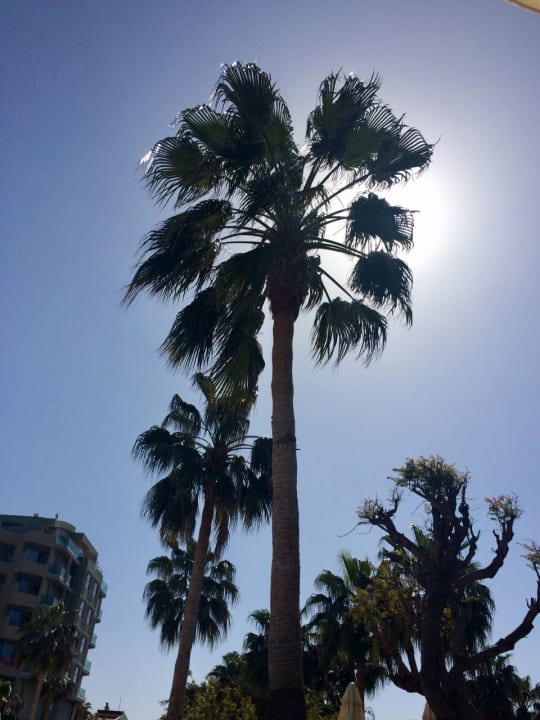 Sonstiges VONRESORT Golden Coast