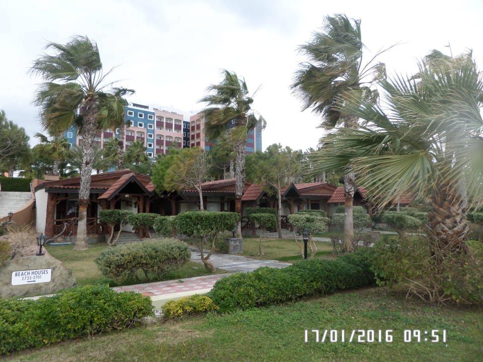 Beim Sparzieren gehen Aydinbey Kings Palace & Spa