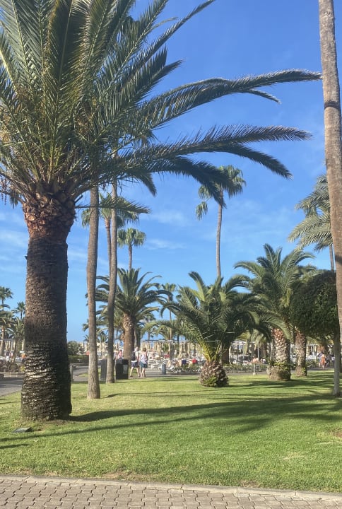 Gartenanlage Hotel Riu Gran Canaria