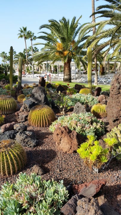 Gartenanlage Hotel Riu Gran Canaria