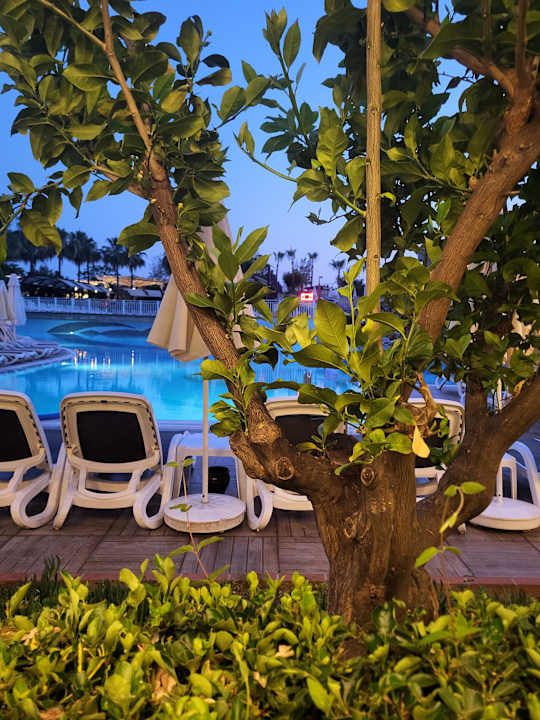 Pool Aydinbey Kings Palace & Spa