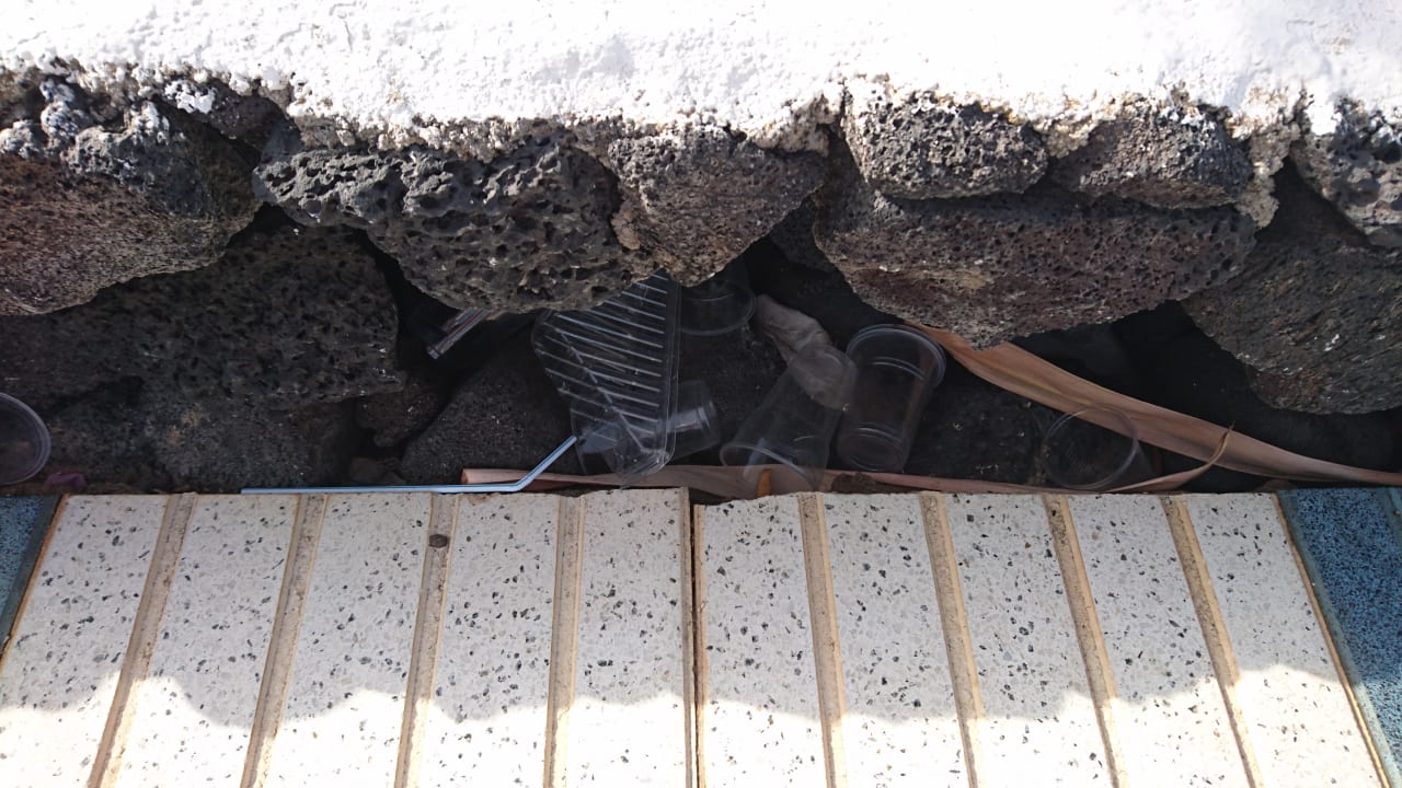 Sonstiges Relaxia Olivina