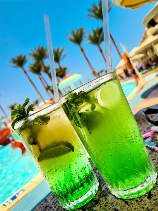 Gastro Beach Albatros Resort