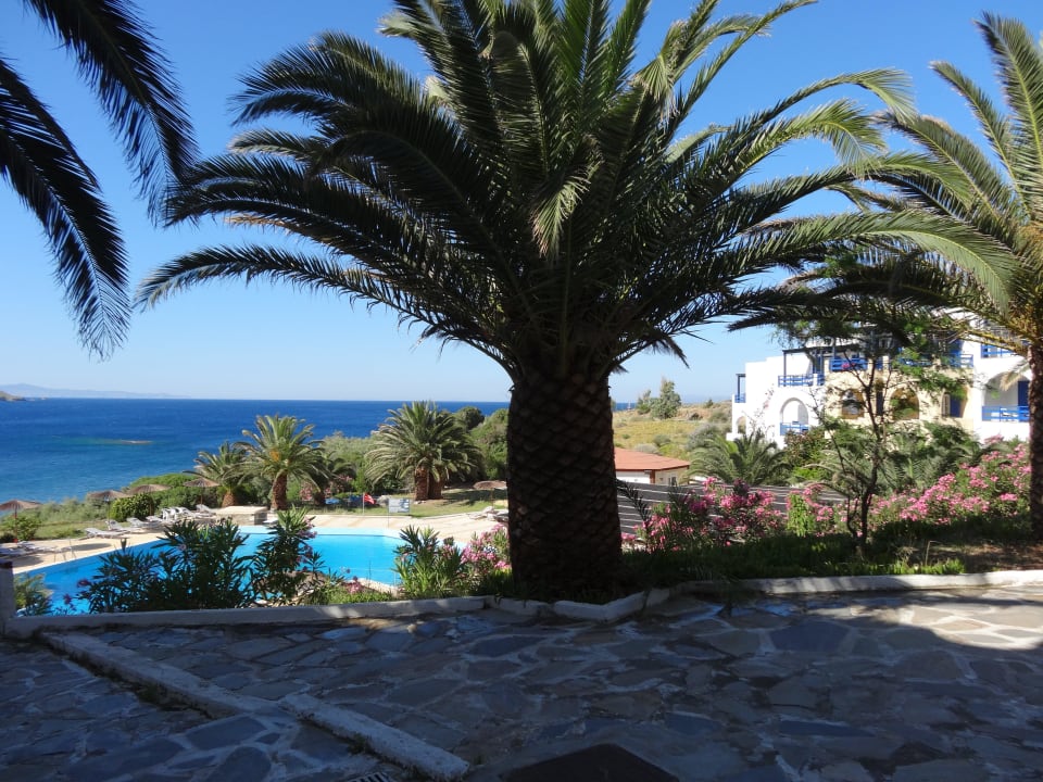 Accès à la piscine Hotel Andros Holidays