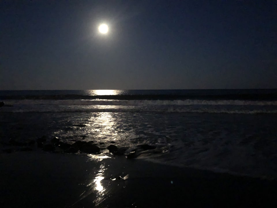 Ausblick Hotel Sineva Beach