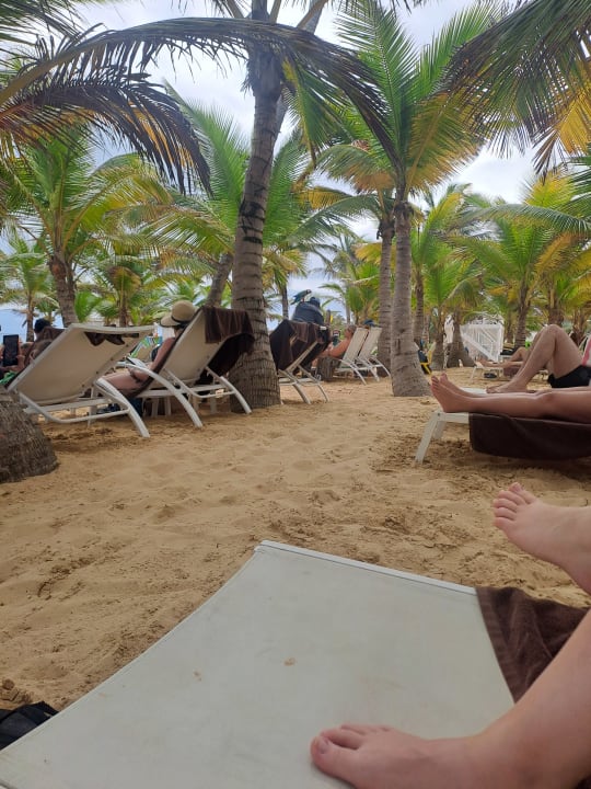 Gastro Dreams Onyx Resort & Spa