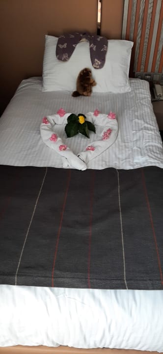 Zimmer Arycanda Kirman Premium