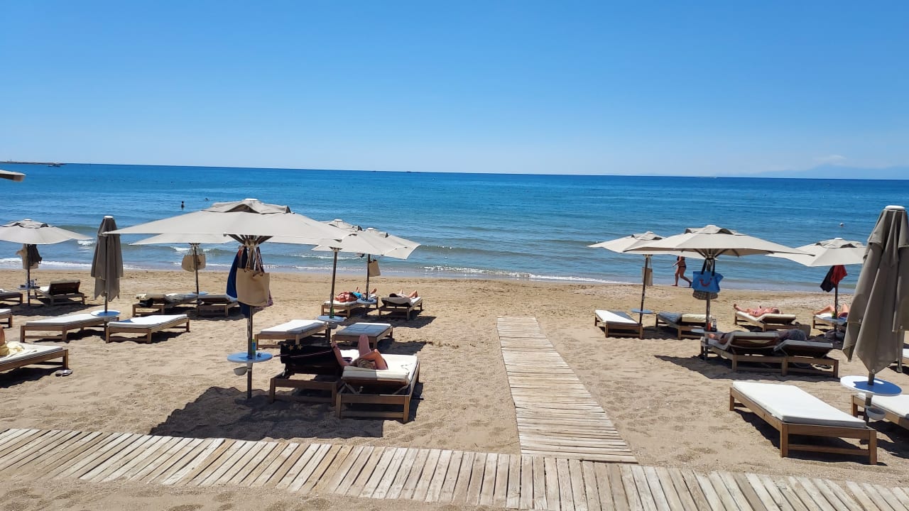 Strand Acanthus Cennet Barut Collection