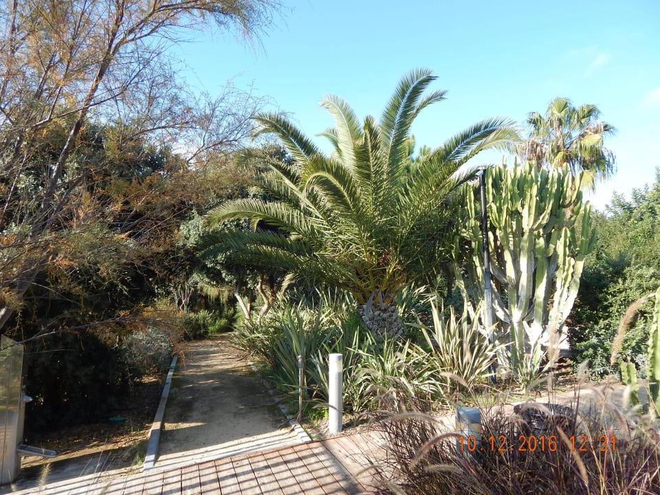 Garten am Hotel Ozadi Altura Beach Resort