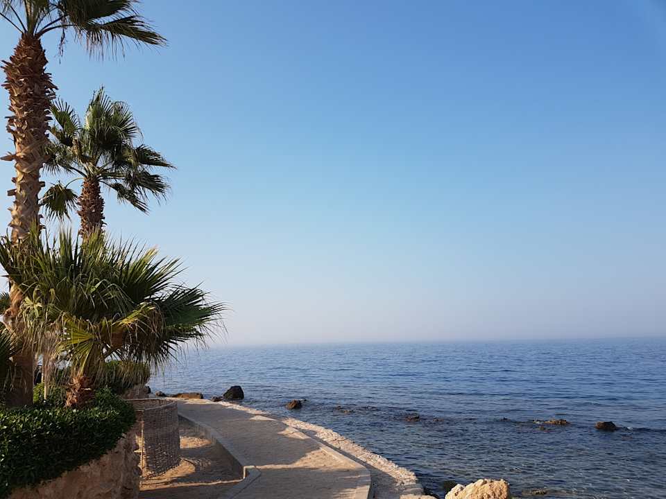 Ausblick Pickalbatros Citadel Resort