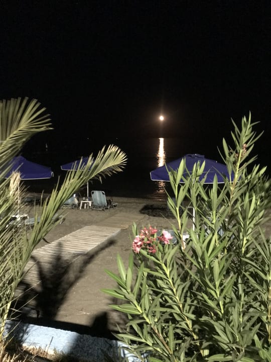 Ausblick Pension Victoria