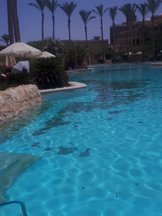 Pool Makadi Spa - Adults only