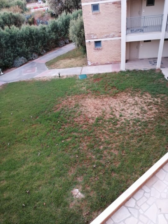 Gartenanlage Bella Beach Hotel