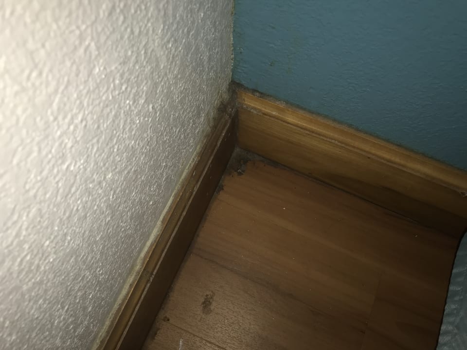 Zimmer Motel 6 Atlanta Chamblee Tucker