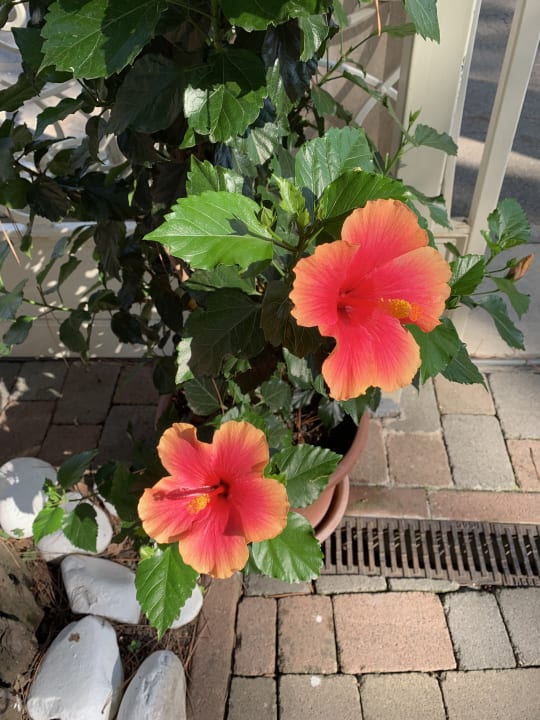 Sonstiges Hotel Astra