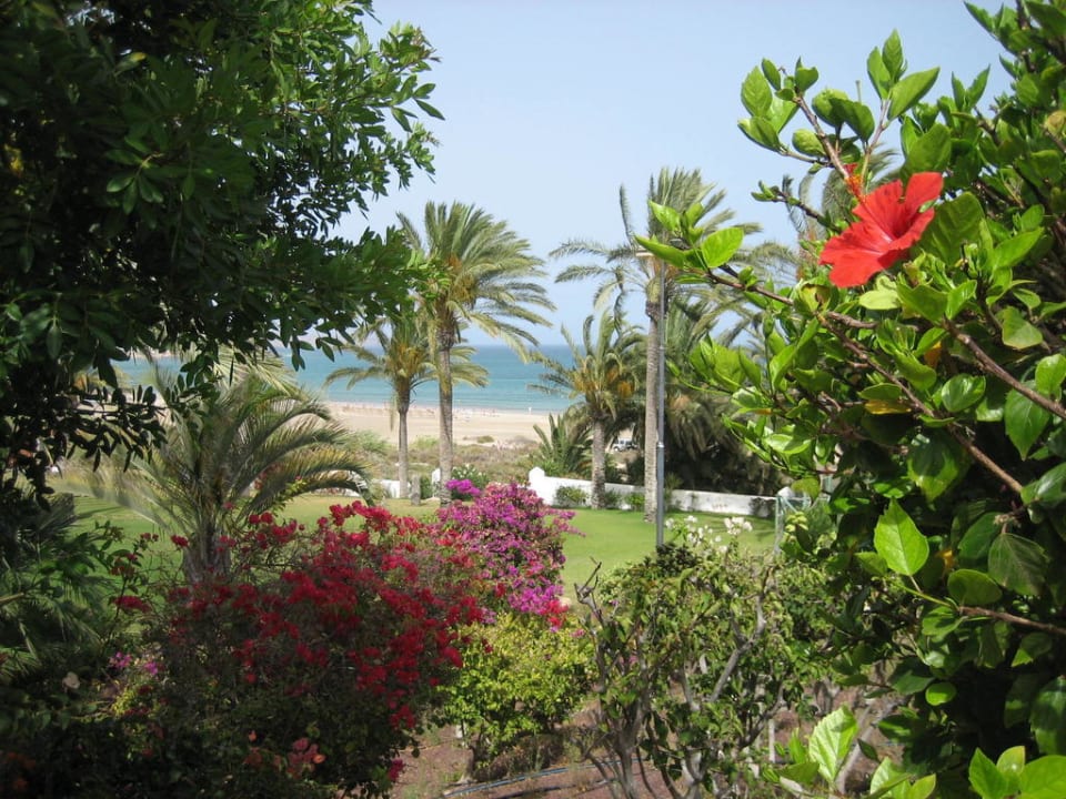 Garten SBH Hotel Costa Calma Palace