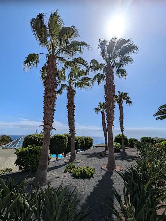 Gartenanlage Marina Playa Suite Hotel