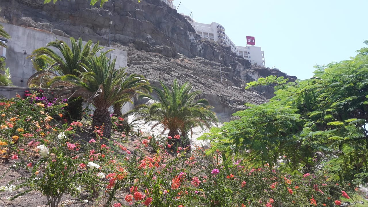 Blick zum Hotel vom Stand aus Hotel Riu Vistamar