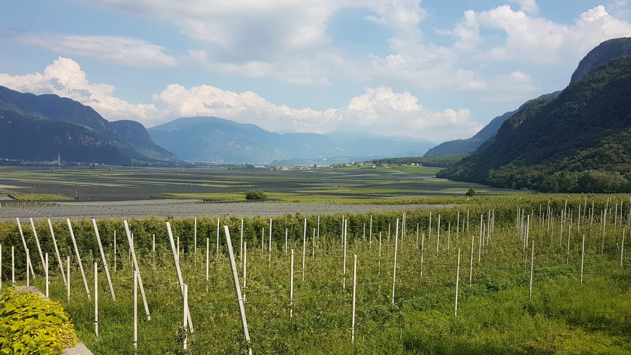Ausblick Gardenhotel Wilma