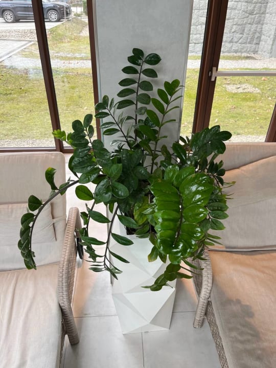 Pool Nosalowy Park Hotel & Spa