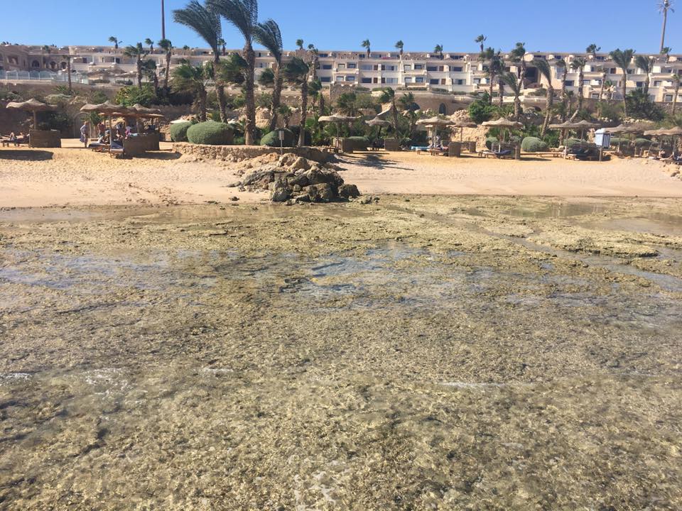 Strand Pickalbatros Citadel Resort