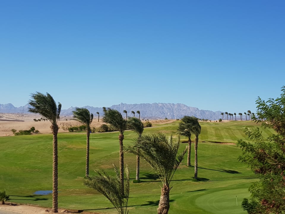 Ausblick Steigenberger Makadi Hotel - Adults only