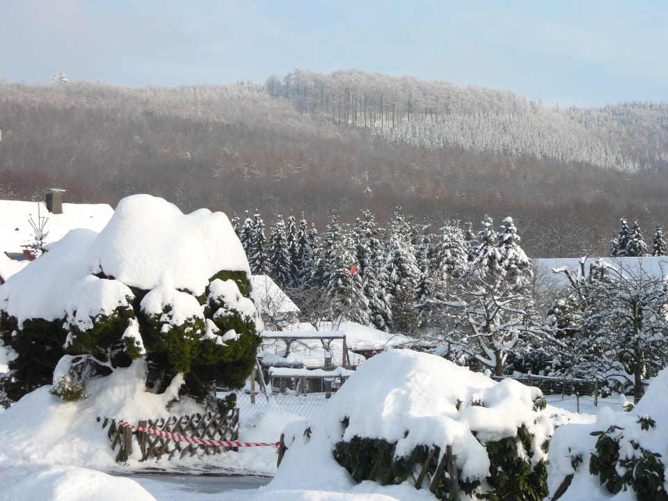 Panorama Pension Haus Drei Tannen