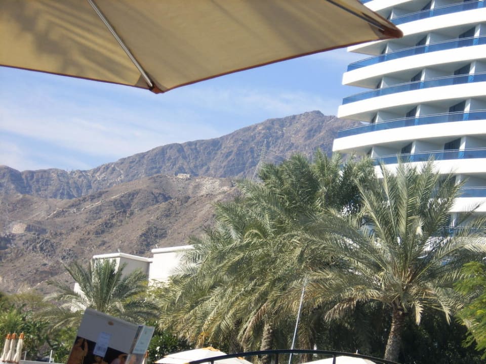 Traumurlaub Hotel Le Meridien Al Aqah Beach Resort