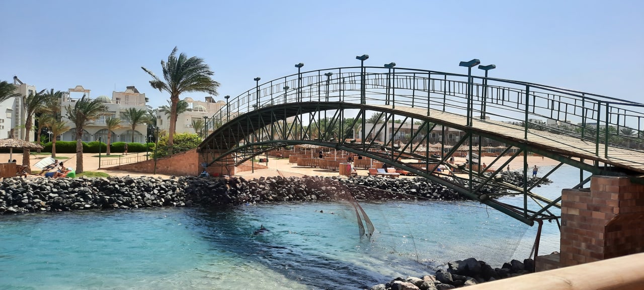 Ausblick Desert Rose