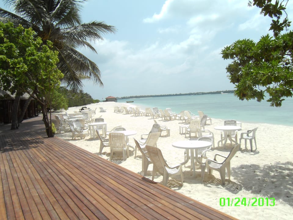 Meerblick von der Barterrasse Summer Island Maldives