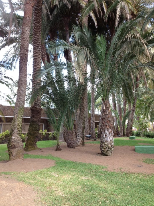 Palmengarten Hotel Riu Palace Oasis