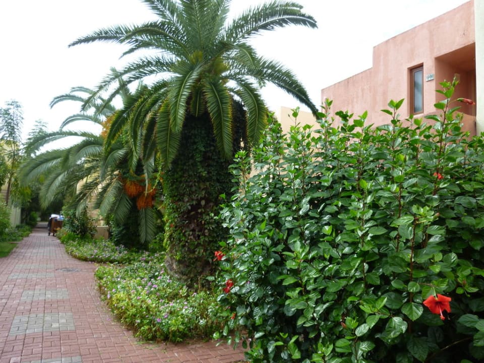 Geplegte Anlage mit tollen Pflanzen VONRESORT Golden Beach