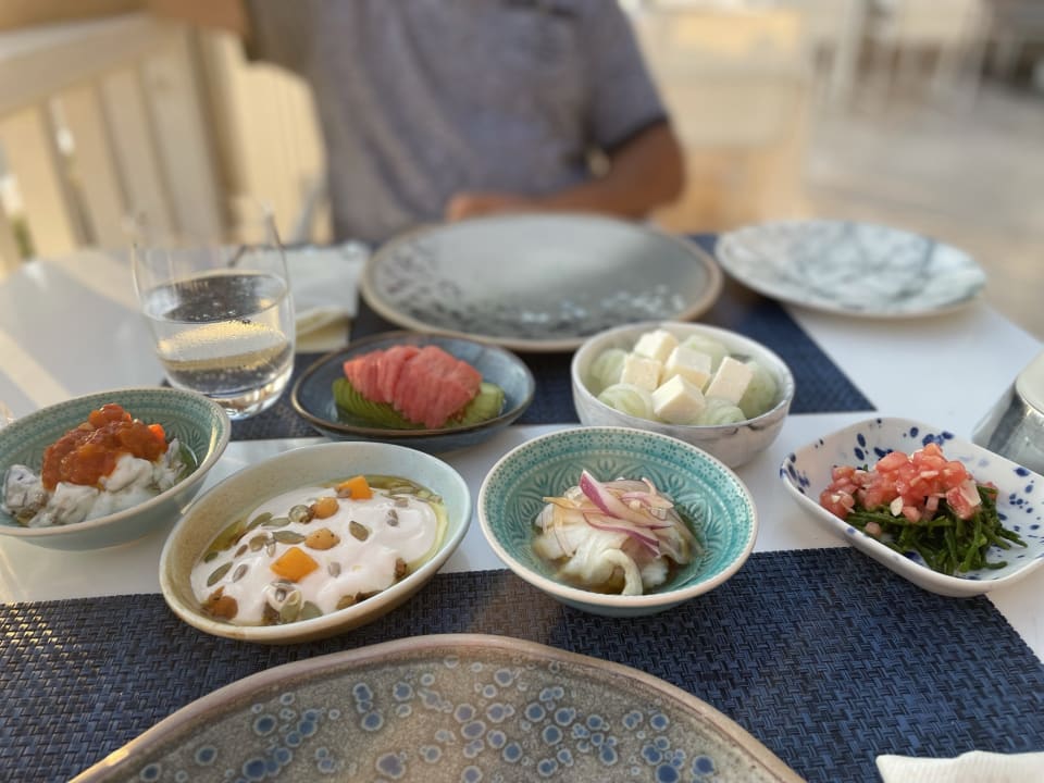 Gastro Acanthus Cennet Barut Collection